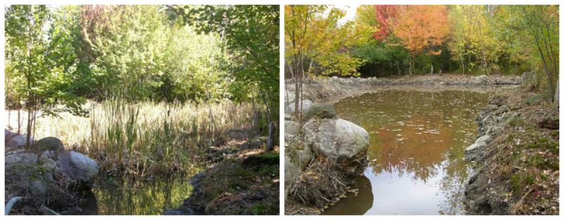 Fitchburg Pond Reclamation