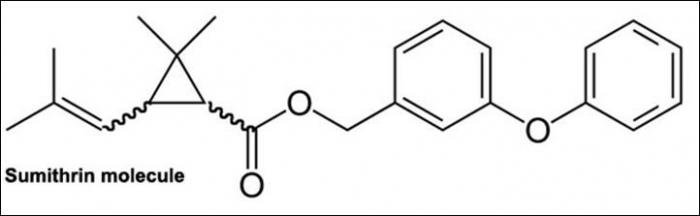 Sumithrin Molecule