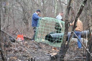 Beaver Mitigation Project